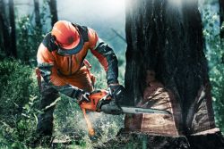 Kettingzagen Husqvarna | A&B Hoyweghen Bazel