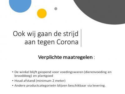 Corona4 Corona4